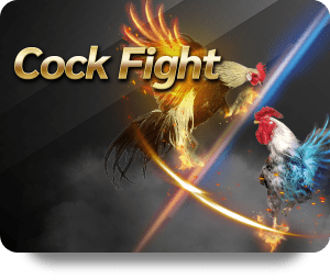 Cockfight